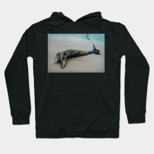 Driftwood Dolphin Hoodie